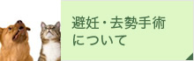 避妊・去勢手術 について